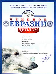 Аватара пользователя