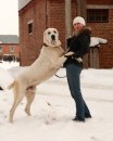 Аватара пользователя