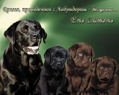 frida_eng_clip_image002_0004.jpg