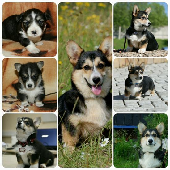 Q6QjfqKymmE.jpg