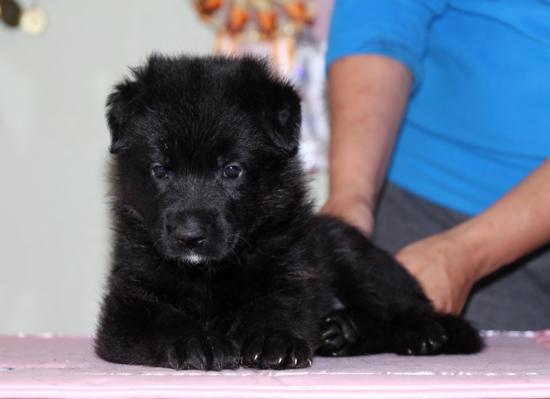 IMG_9404-1.jpg