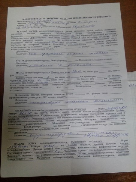 ,чек.jpg