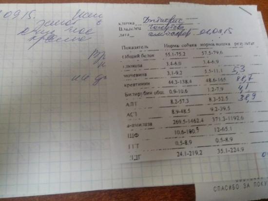 ,чек2.jpg