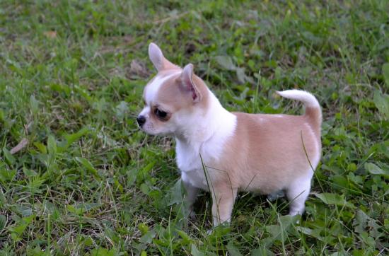 DSC_6634.JPG
