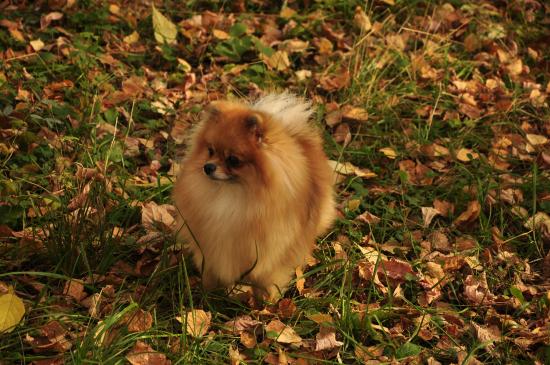 _DSC0600.JPG