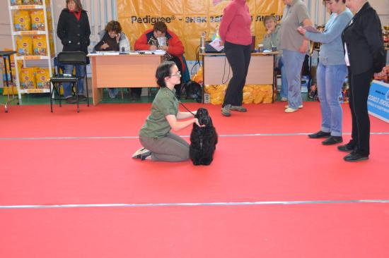DSC_0022.JPG