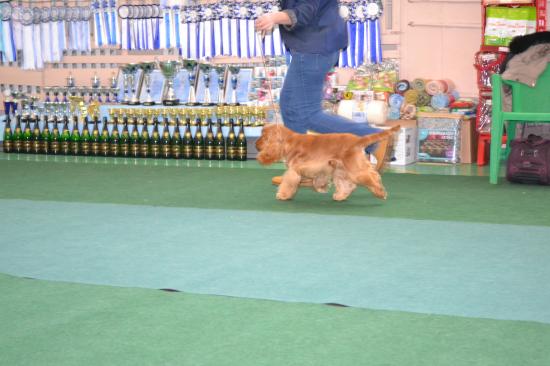 DSC_0035.JPG
