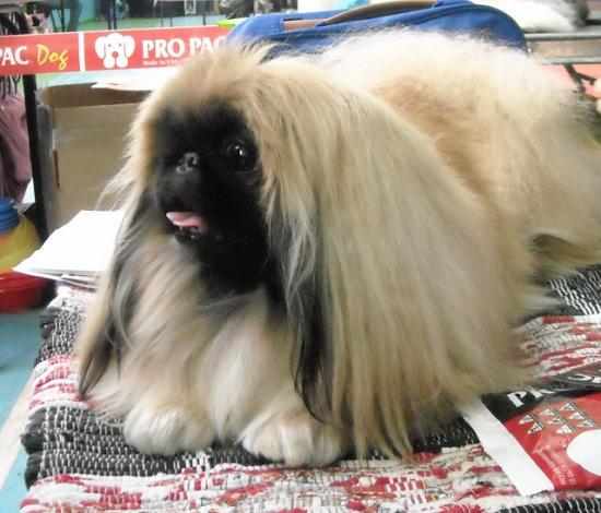 Выставка 18[1].04.10 004 (640x548).jpg