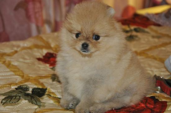 yrP0w3mxlOs.jpg