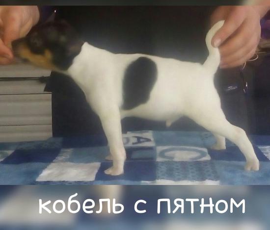 1453271954048-1.jpg