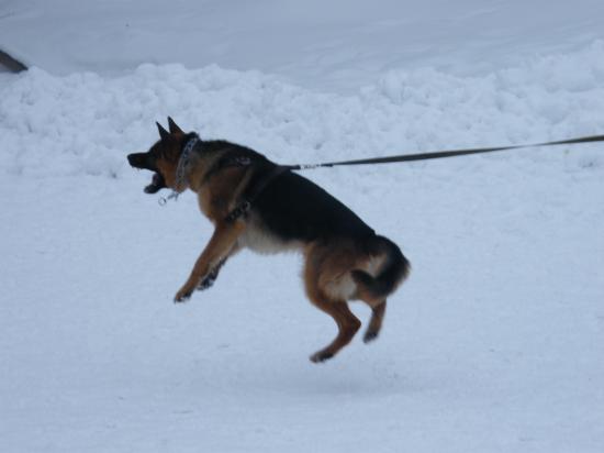 DSCF1515.JPG