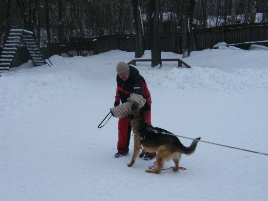 DSCF1534.JPG