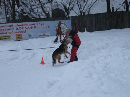 DSCF1536.JPG