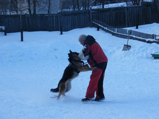 DSCF1577.JPG