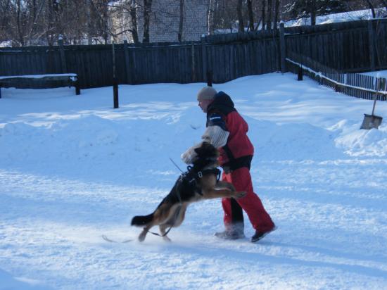 DSCF1578.JPG