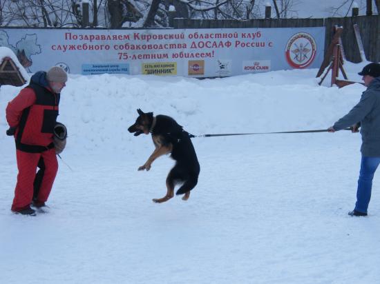 DSCF1559.JPG