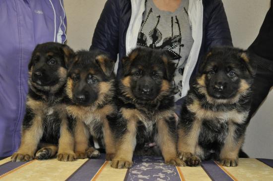 _DSC7735.JPG