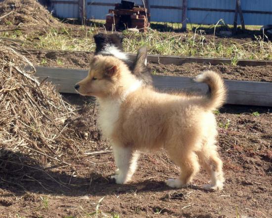 0_98428_1ceba9ce_XL.jpg