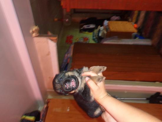 DSC03888.JPG