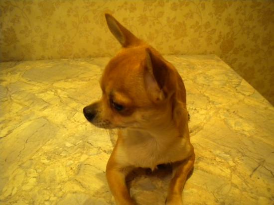 DSCN3075.JPG