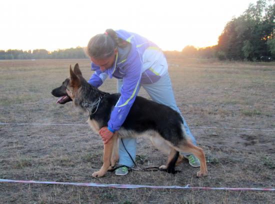 IMG_0067.JPG