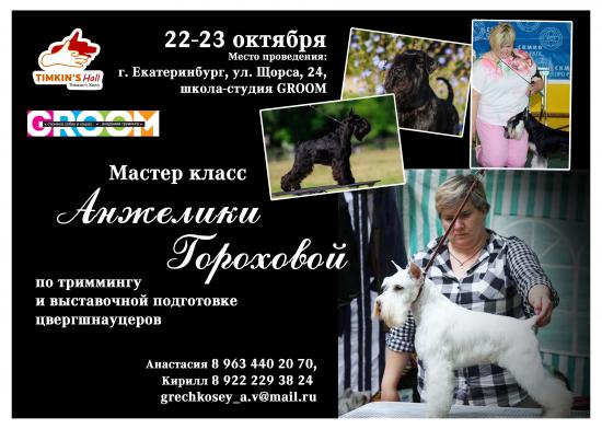 Голден-Лимо_Баннер_Мастер-класс___21.jpg