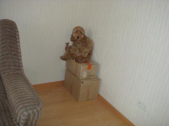 DSC07511.JPG