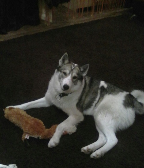 IMG-20170110-WA00011.jpg