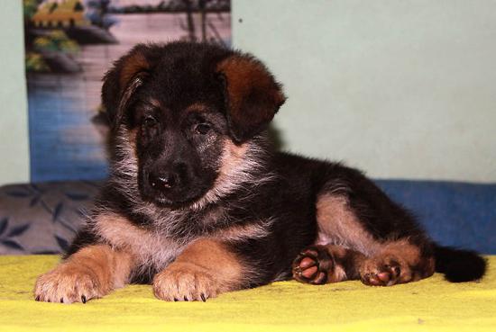 malenki cherprachnyi malchik1.jpg