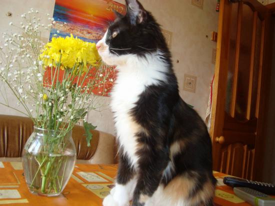 DSC09057.jpg