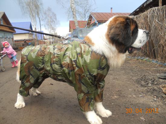 В НЕПОГОДУ.....