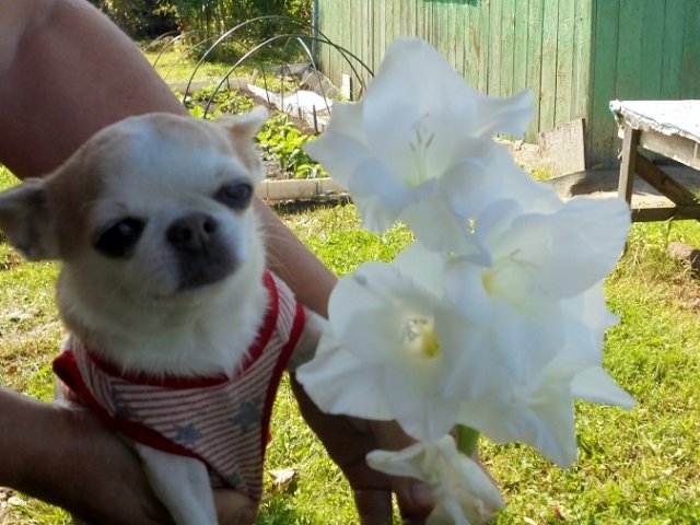 DSC08086.JPG