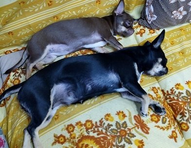 IMG_20250613_081049.jpg