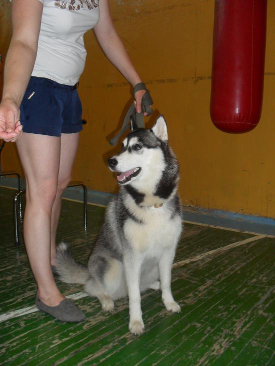 SDC14466.JPG