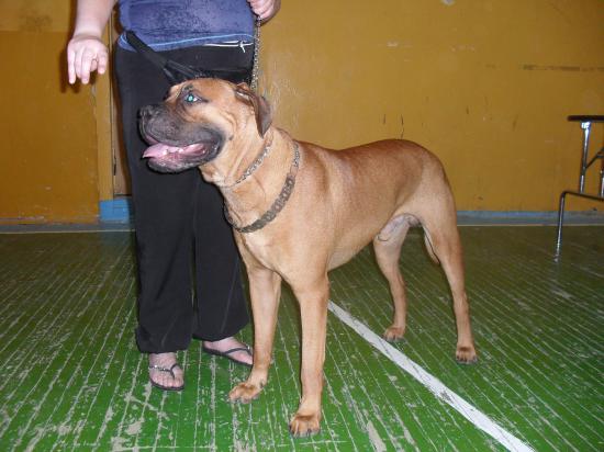 SDC14480.JPG