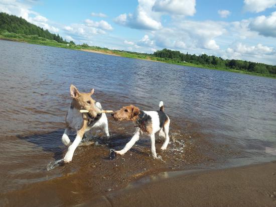 20120624_155353.jpg