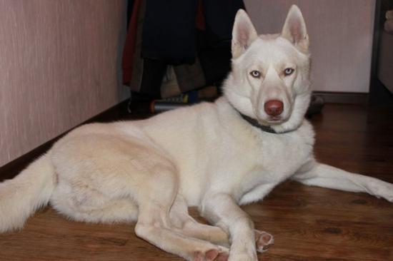 vv2Wi43Ql34.jpg