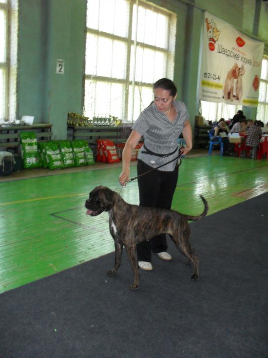 SDC14859.JPG