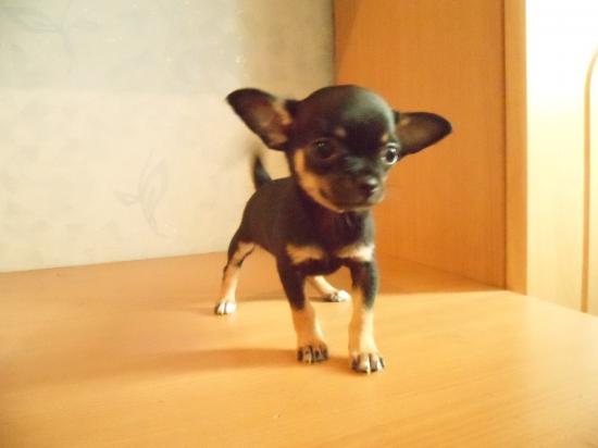 SAM_0727.JPG