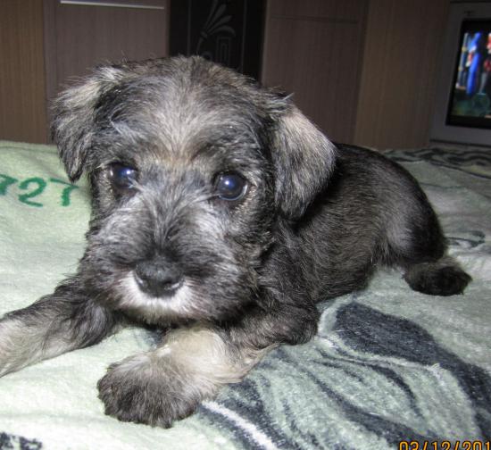IMG_3715.JPG
