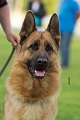 аватарка нато.jpg