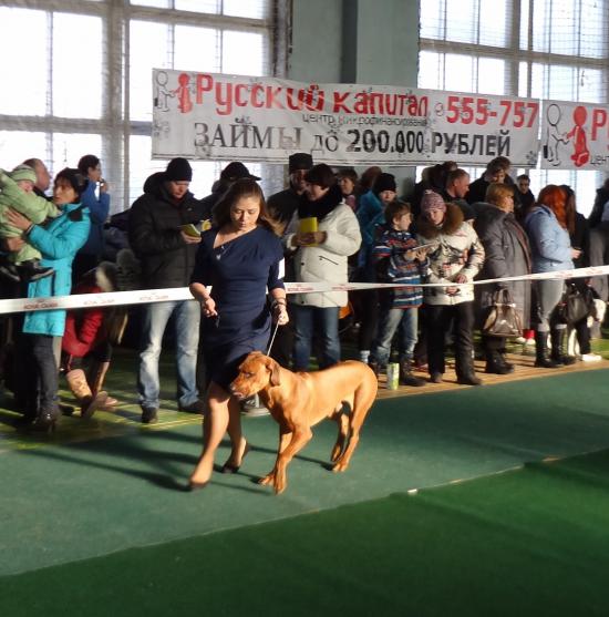 б.jpg