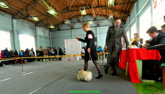 DSCN0740[1].JPG