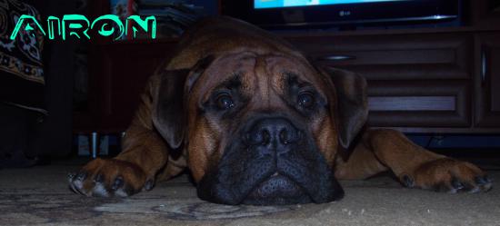 DSCN1426.jpg