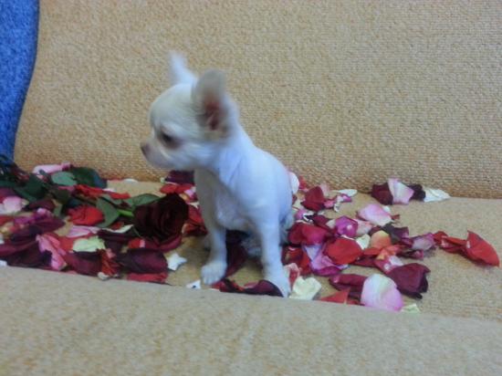20130704_120252_1.jpg