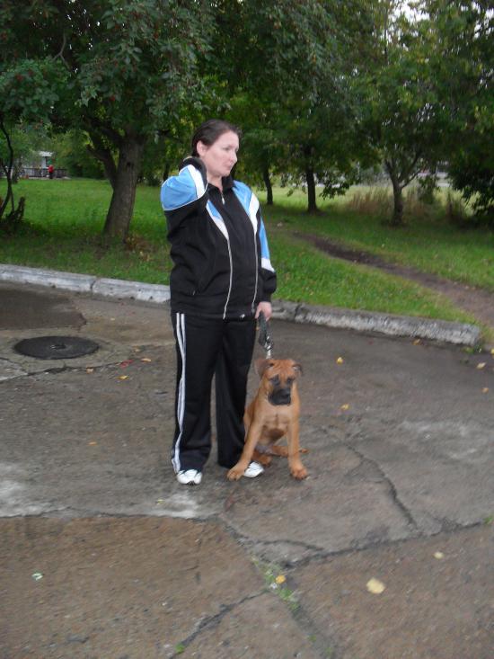 SDC12800.JPG