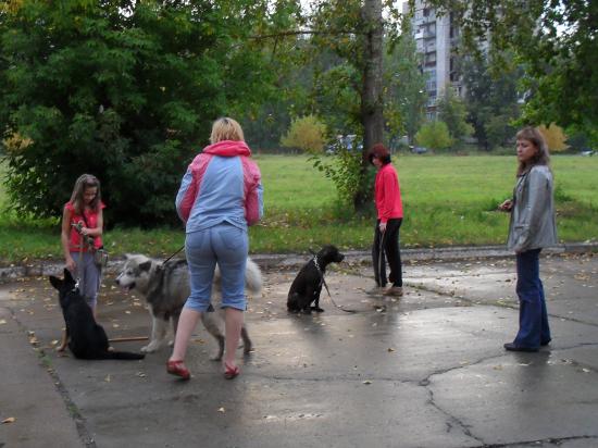SDC12824.JPG