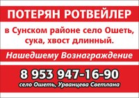 пот ротвI5uQQyvCRJM.jpg