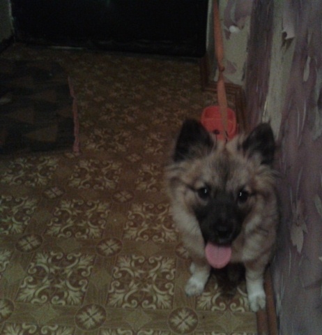 2011-01-01 00.35.32.jpg