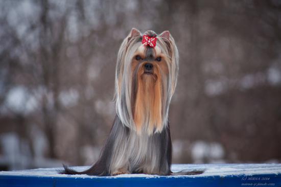 IMG_3768-2ум.jpg
